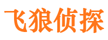 金山飞狼私家侦探公司